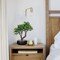 Artificial Bonsai Tree – 13" Small Bay Laurel Faux Potted Plant, Indoor Decorative Desk Plant with Ceramic Pot for Home, Office, Living Room, Bedroom, Bathroom, Table, or Shelf